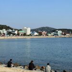 삼척 장호항 스노쿨링 완벽 정리 삼척 장호항 스노쿨링 포인트 전경