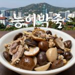 대구 팔공산 성공식당 능이닭백숙 버섯 가득한 모습