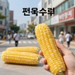 찐옥수수 칼로리와 다이어트 섭취법 찐옥수수 1개 칼로리와 영양성분을 설명하는 사진