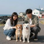 소녀시대 유리 제주도 집에서 반려견과 함께하는 일상 모습