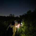 무주 반딧불축제 9월 일정과 주차 어두운 밤 반딧불이 빛을 따라가는 무주 반딧불축제 탐사 모습