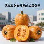 단호박 영양성분과 효능 정보