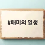 매미의 일생 7년 기다림의 비밀 매미의 일생