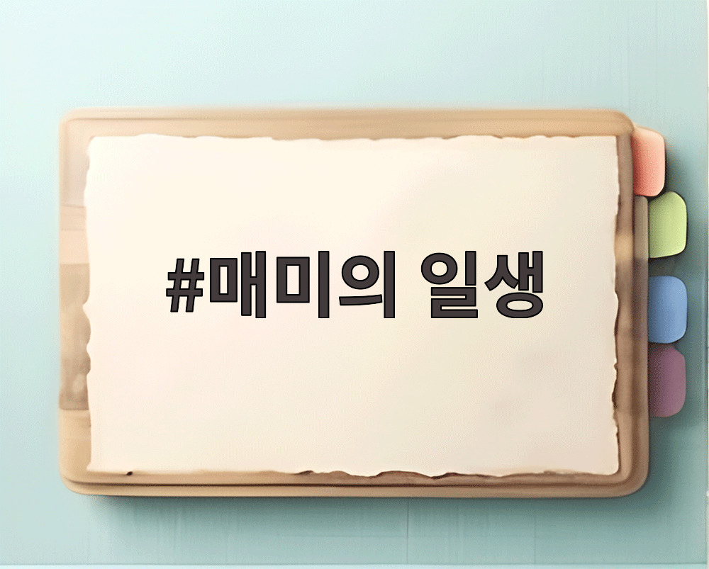 매미의 일생