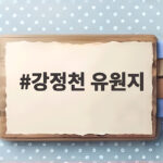 강정천 유원지 물놀이 제주 계곡 정보 강정천 유원지