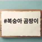 복숭아 곰팡이 피었을 때 먹어도 될까 보관법 복숭아 곰팡이