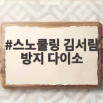 스노쿨링 김서림 방지 다이소 완벽 준비 스노쿨링 김서림 방지 다이소