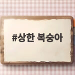 상한 복숭아 판단 기준과 안전 보관법 상한 복숭아