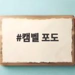 8월 제철 캠벨 포도 당도와 섭취 팁 캠벨 포도