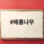 배롱나무 오래 피는 여름꽃 키우기 명소 추천 배롱나무