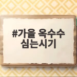 가을 옥수수 심는시기