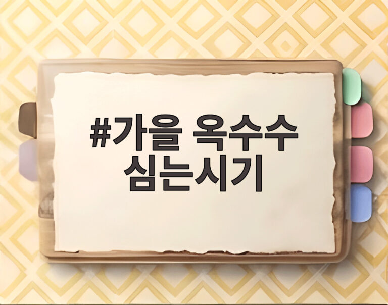 가을 옥수수 심는시기