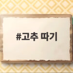 무더위에도 안전한 고추 따기 팁 고추 따기