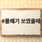 풀쐐기 쏘였을때 올바른 응급 처치 풀쐐기 쏘였을때