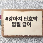 강아지 단호박 껍질 안전하게 급여하는 법 강아지 단호박 껍질 급여