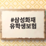 삼성화재 유학생보험 유학생 필수 준비 삼성화재 유학생보험