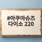 아쿠아슈즈 다이소 220