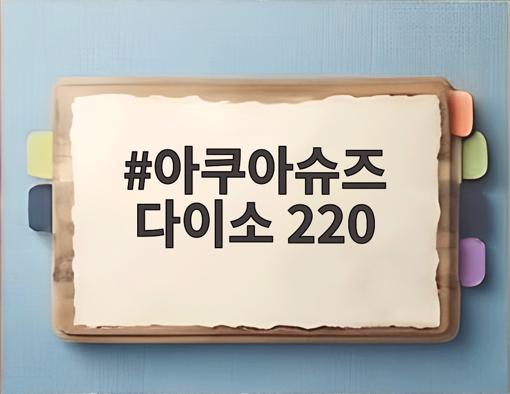 아쿠아슈즈 다이소 220