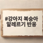 강아지 복숭아 알레르기 반응과 안전한 급여 강아지 복숭아 알레르기 반응