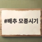 배추 모종시기 지역별 심는 달력과 방법 배추 모종시기