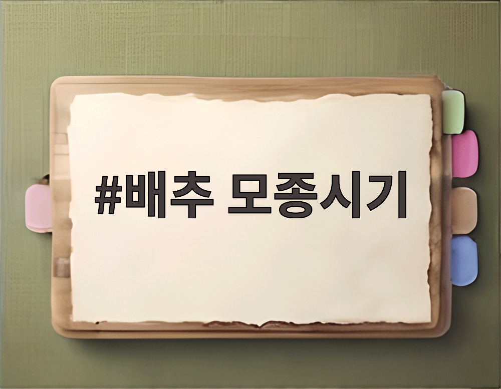 배추 모종시기