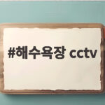 해수욕장 cctv 실시간 확인으로 안전한 바다 여행 준비 해수욕장 cctv