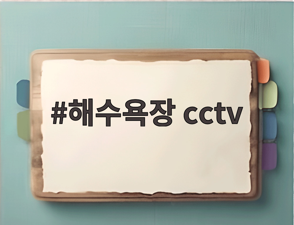 해수욕장 cctv