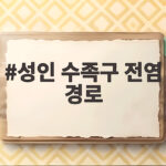 성인 수족구 전염 경로와 예방법 총정리 성인 수족구 전염 경로
