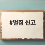 벌집 신고