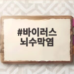 바이러스 뇌수막염 증상부터 치료 회복까지 총정리 바이러스 뇌수막염