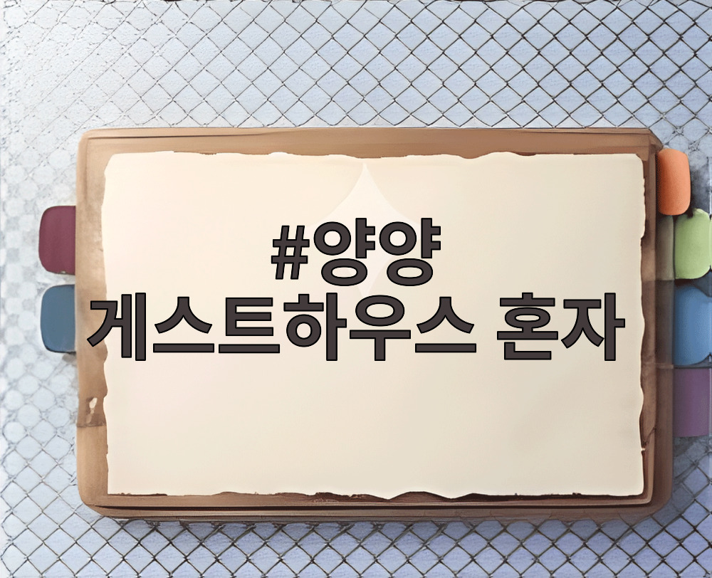 양양 게스트하우스 혼자