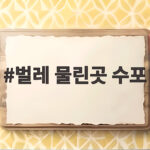 벌레 물린곳 수포