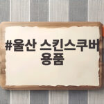 울산 스킨스쿠버 용품 준비와 추천 울산 스킨스쿠버 용품