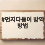 먼지다듬이 방역 방법