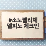 소노펠리체 델피노 체크인 완벽 정리 소노펠리체 델피노 체크인