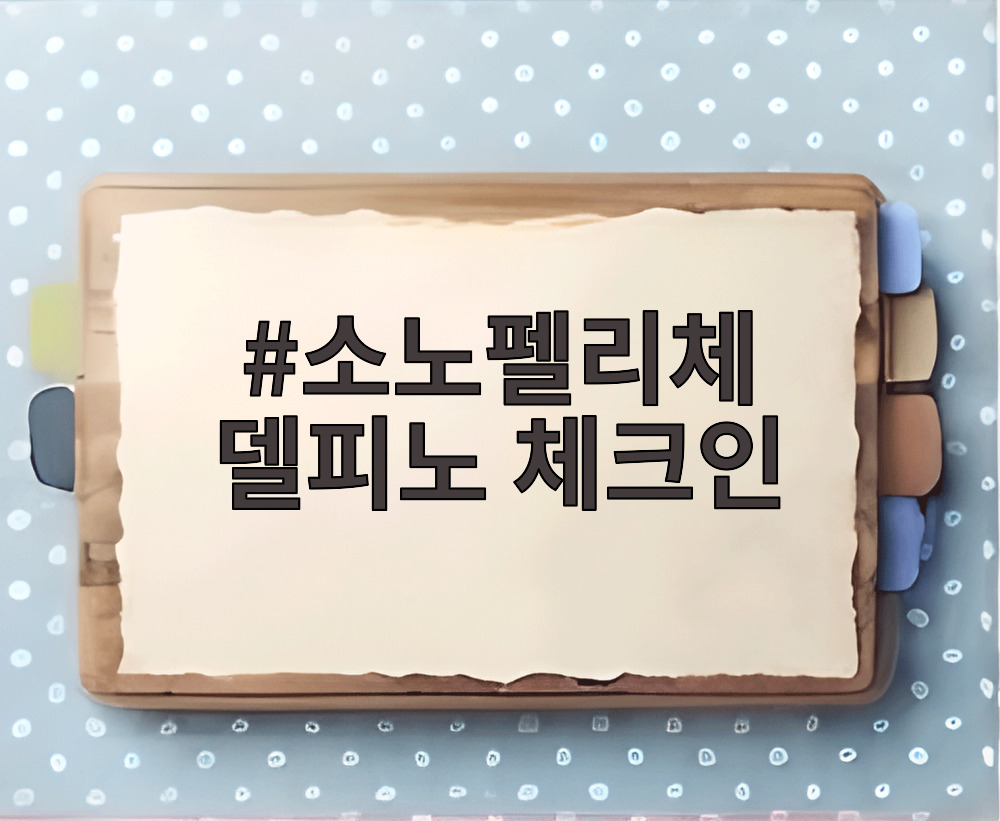 소노펠리체 델피노 체크인