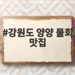 강원도 양양 물회 맛집 추천 낙산해신물회 강원도 양양 물회 맛집