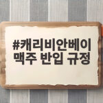 캐리비안베이 맥주 반입 규정 총정리 캐리비안베이 맥주 반입 규정