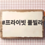 프라이빗 풀빌라