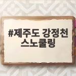 강정천 스노쿨링 가기 전 필수 정보 제주도 강정천 스노쿨링