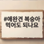 애완견 복숭아 먹어도 되나요 애완견 복숭아 먹어도 되나요