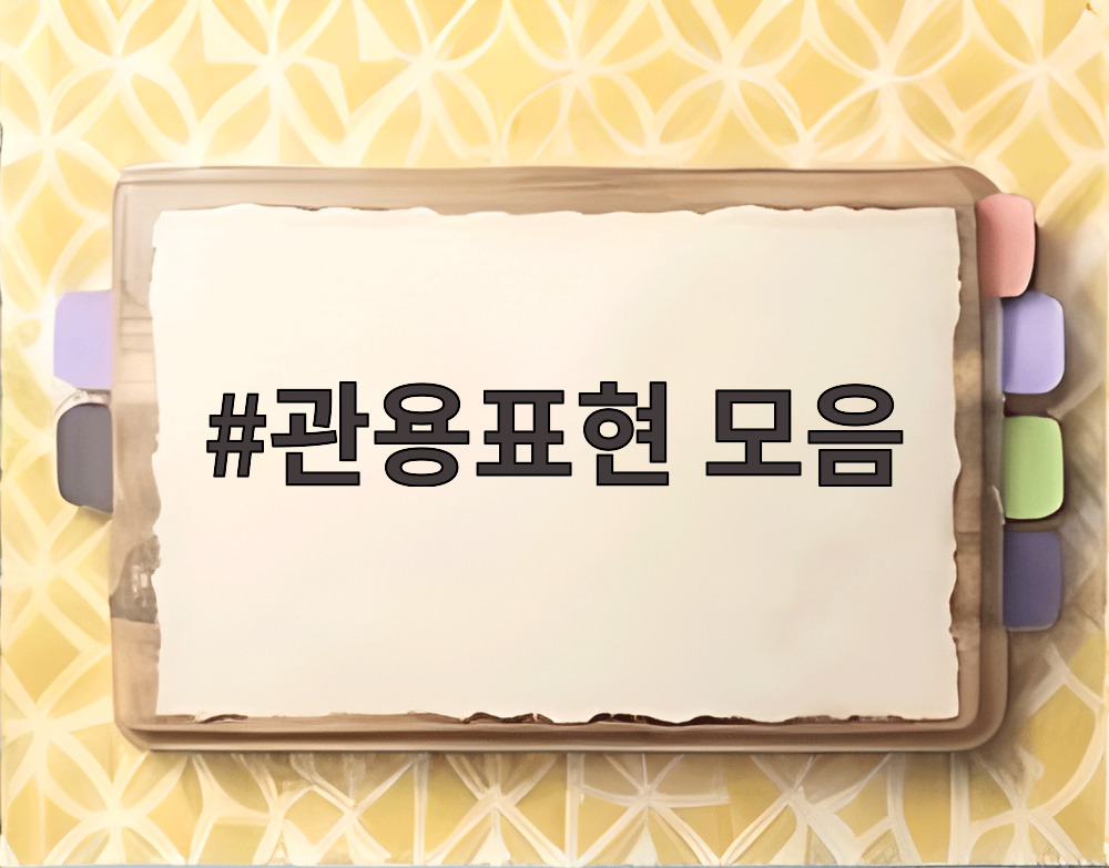 관용표현 모음