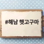 해남 햇고구마