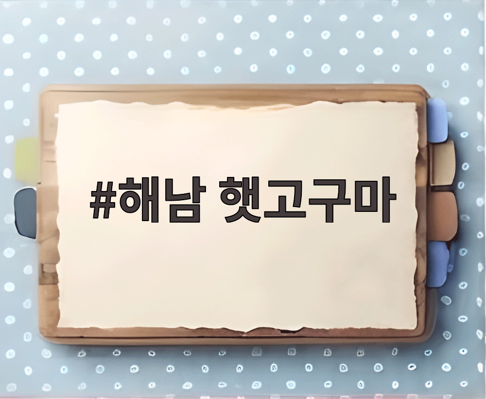 해남 햇고구마