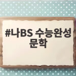 나BS 수능완성 문학 혼자서 끝내는 학습 공략 나BS 수능완성 문학