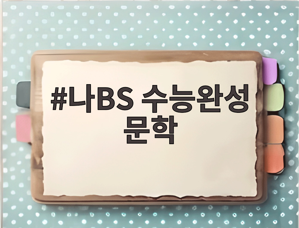 나BS 수능완성 문학