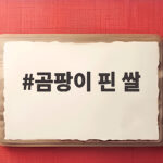 곰팡이 핀 쌀 안전하게 버리는 방법 곰팡이 핀 쌀