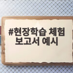 현장학습 체험 보고서 예시