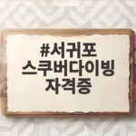 서귀포 스쿠버다이빙 자격증 취득 총정리 서귀포 스쿠버다이빙 자격증