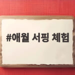 애월 서핑 체험